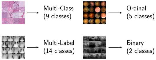 Meta-Learning for Diverse Medical Imaging Tasks